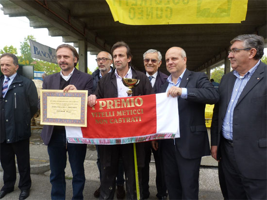 ALBA: Grande Rassegna Bovini Piemontesi di Sottorazza Albese della Coscia 2022