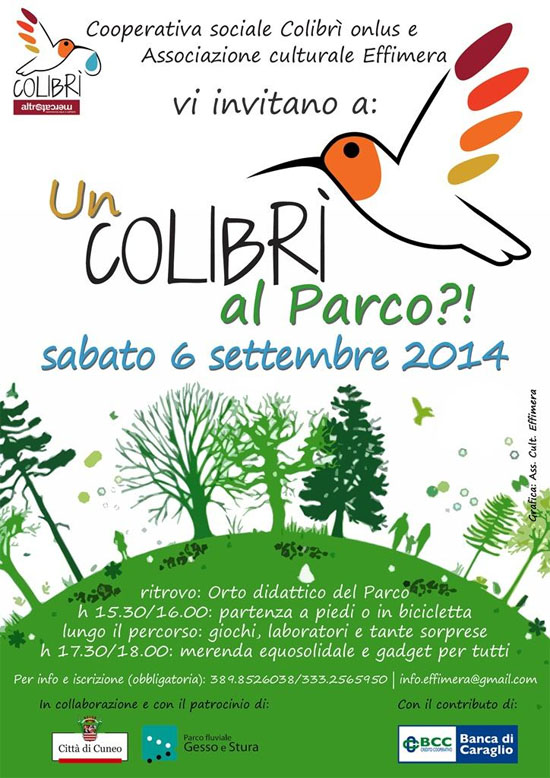 Un colibrì al Parco? a Cuneo
