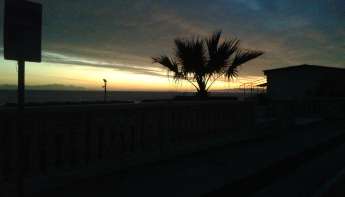 Sunset+palm