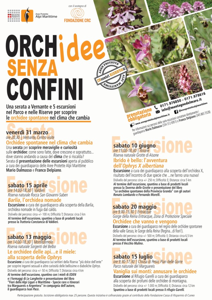 AISONE: Escursione "Ibrido è bello: l'avventura delle Ophrys X albertiana"