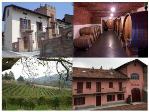 PODERI MORETTI cantina aperta per visita guidata e degustazione pregiati vini di Alba Langhe e Roero 2024